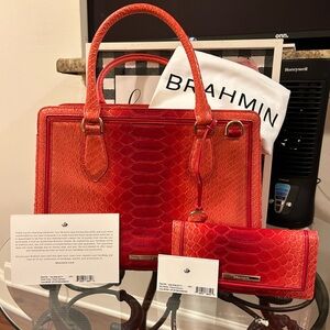 Brahmin Small Finley